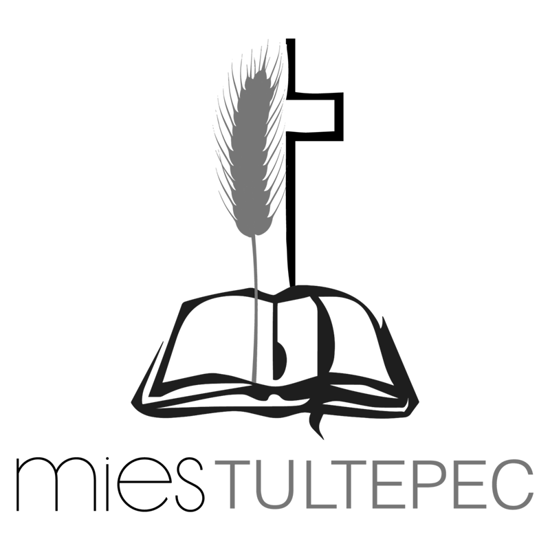 Https://encuentros.miestultepec.com.mx/home/assets/img/mies_tultepec.png